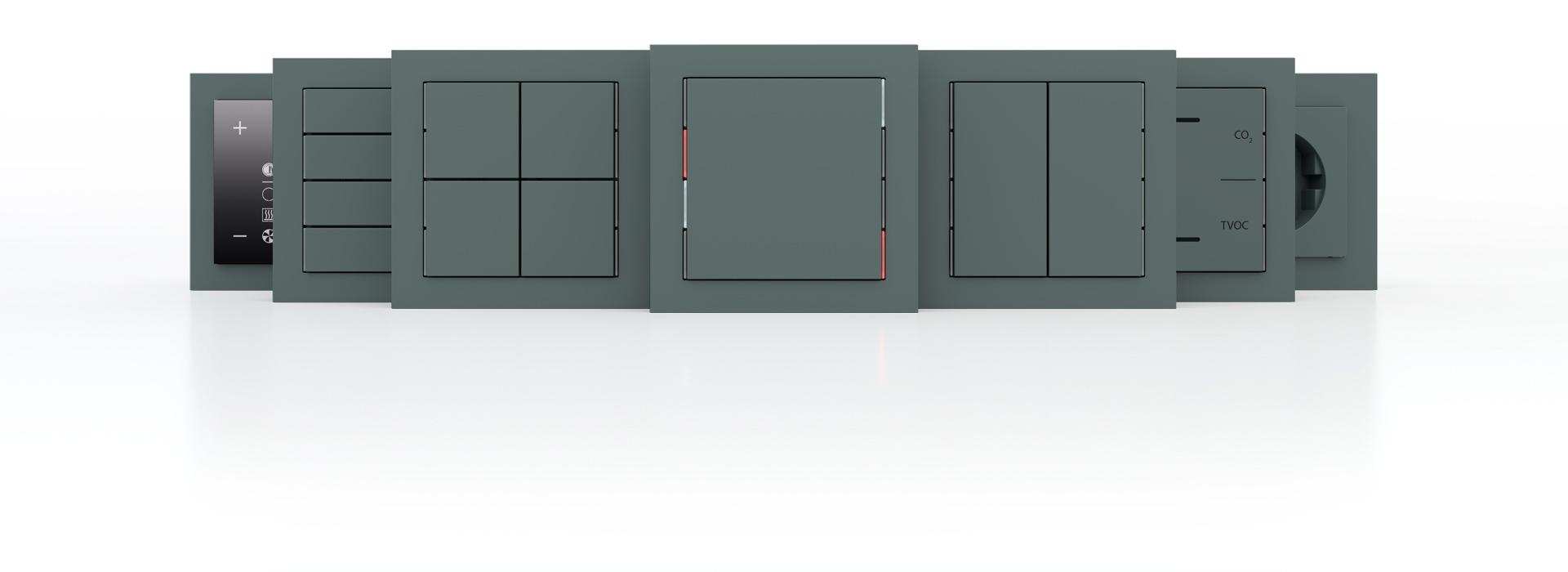 71-nf-2024.jpg